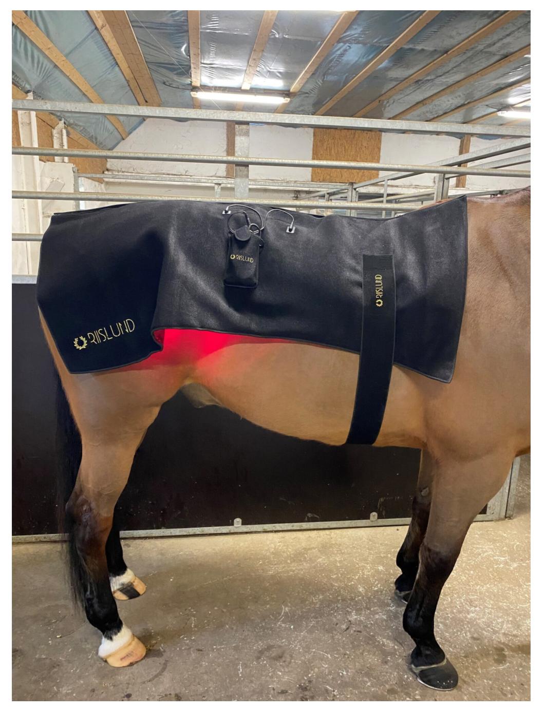 Riislund Light Therapy Deluxe dekken