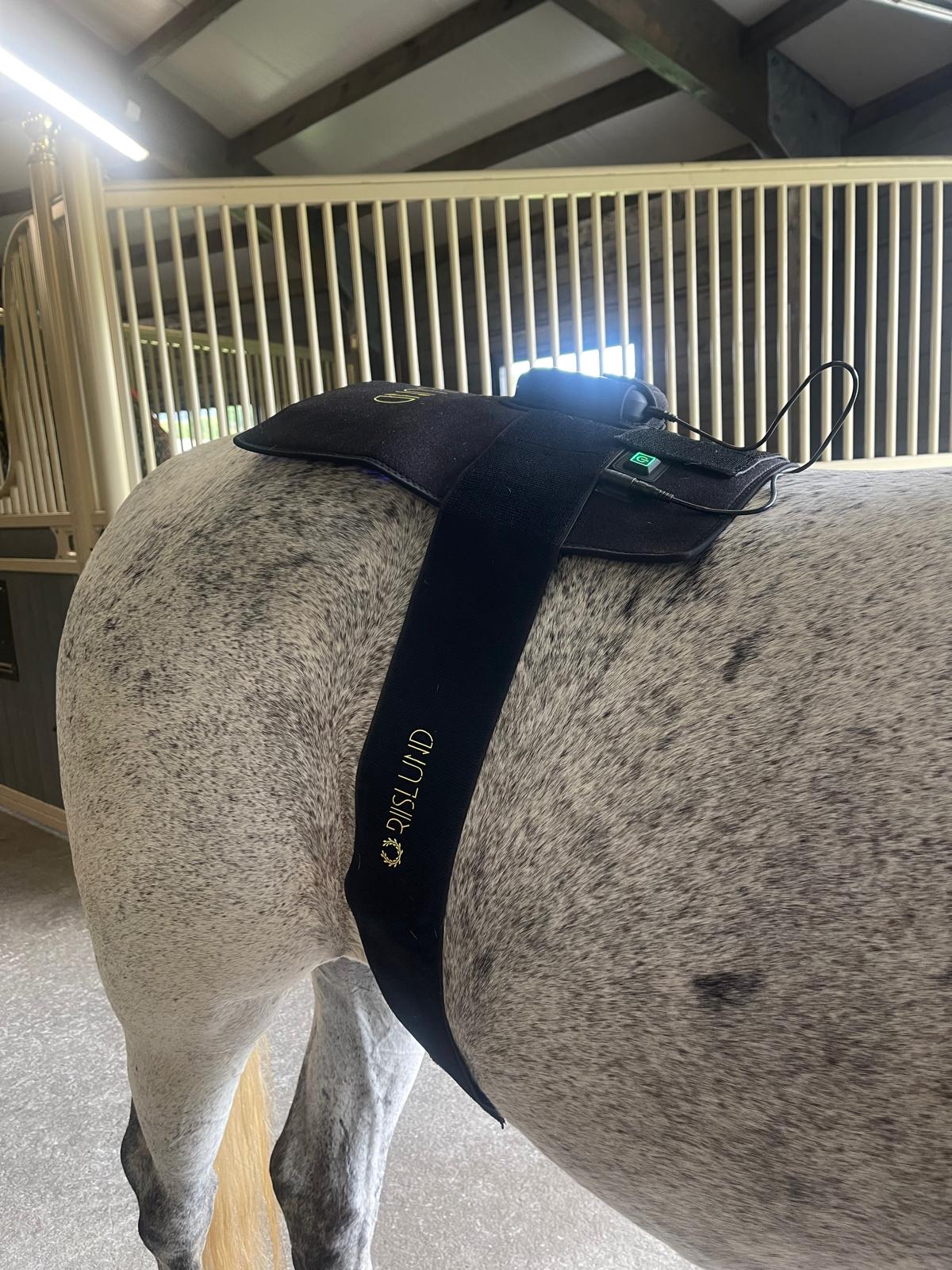 Riislund Light Therapy RED singel