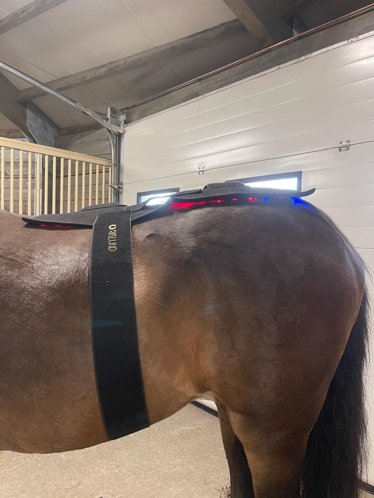 Riislund Light Therapy BLUE Pro sett