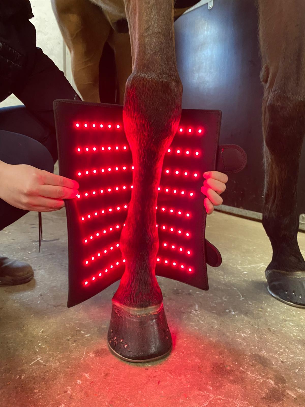 Riislund Light Therapy RED singel