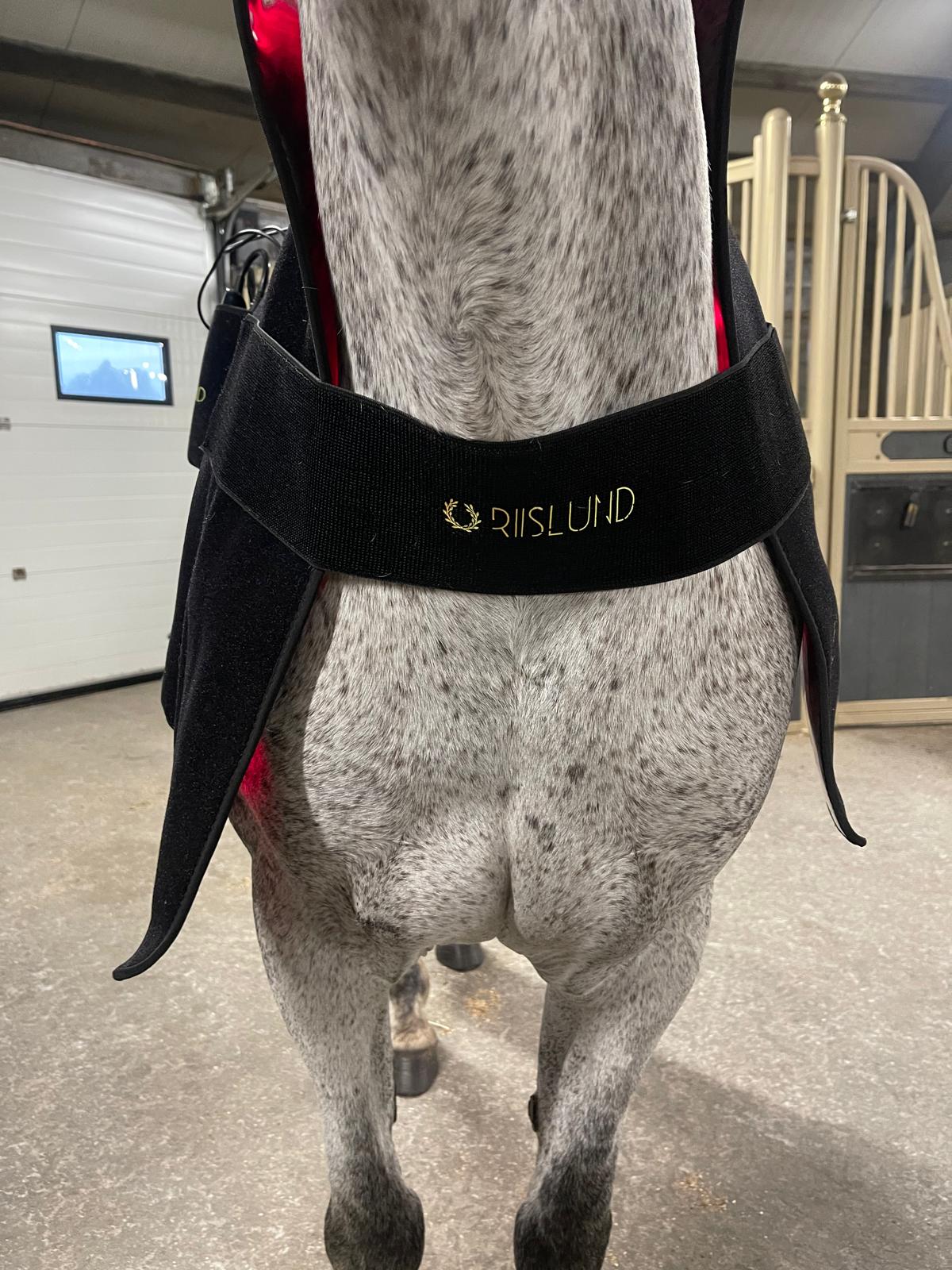 Riislund Light Therapy Deluxe dekken