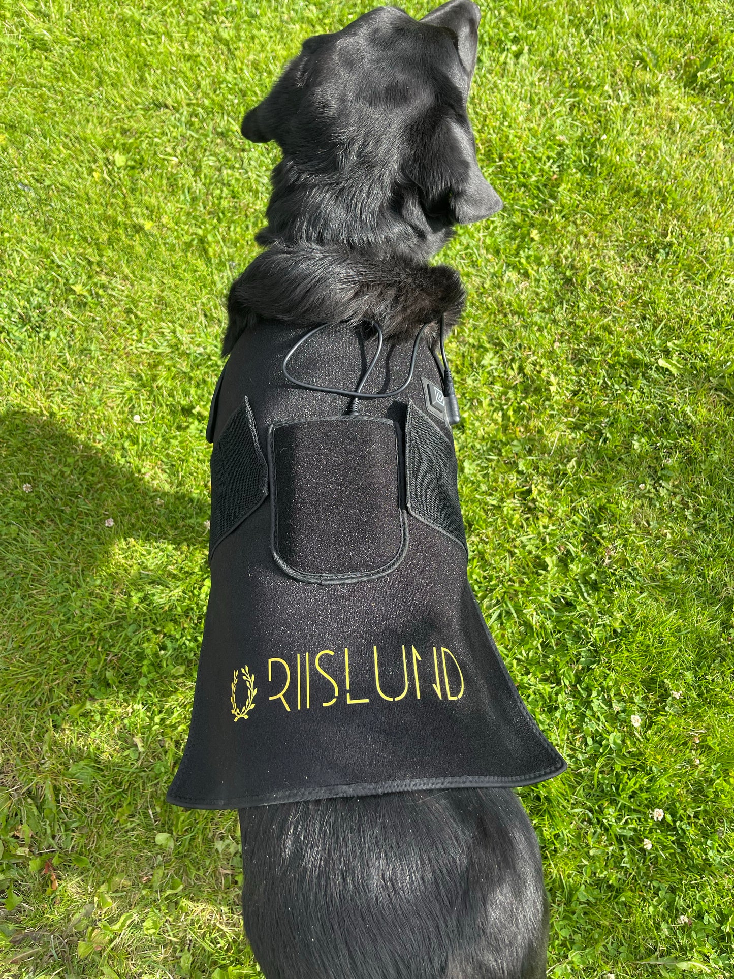 Riislund Light Therapy RED singel