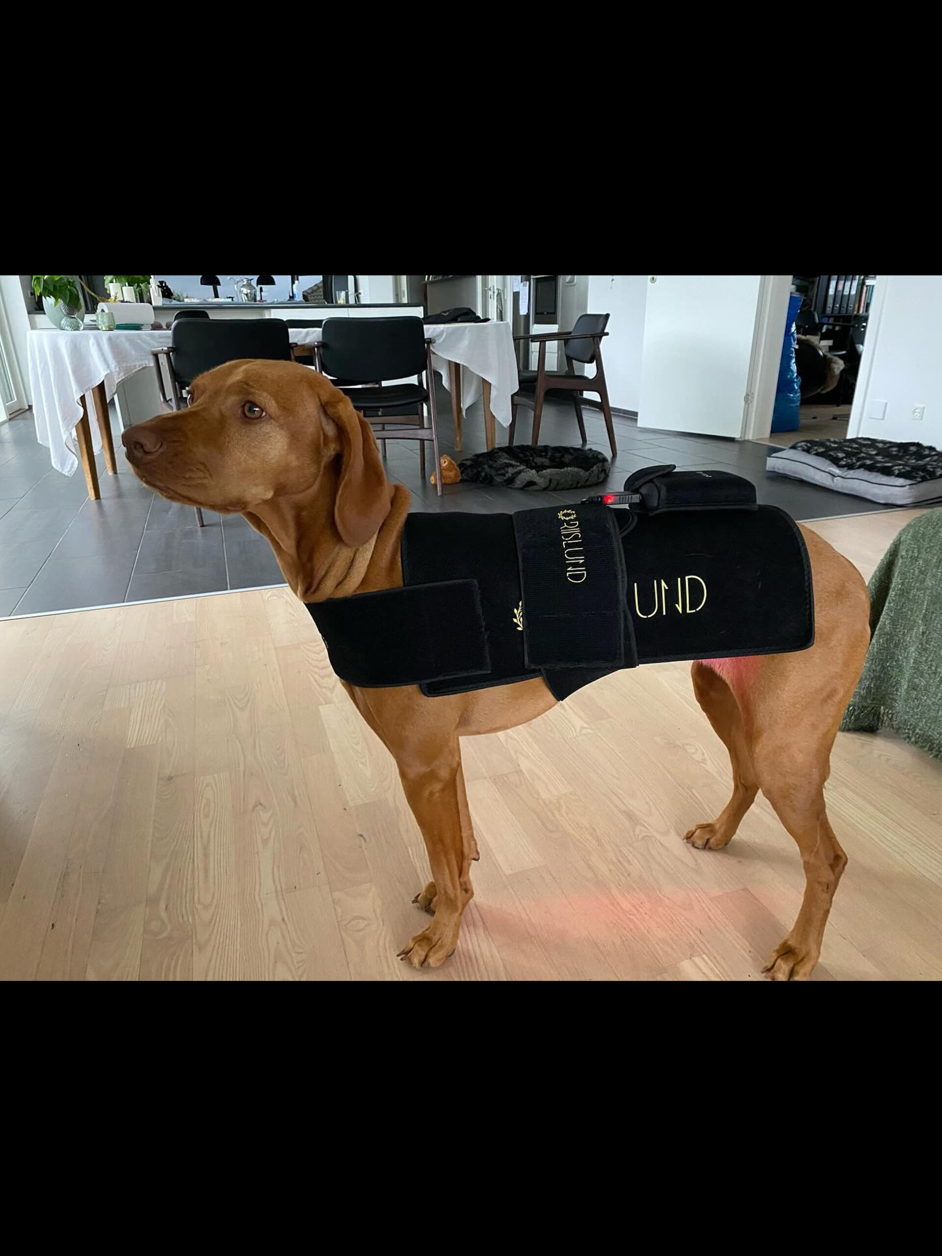 Riislund Light Therapy RED Pro - Image 3