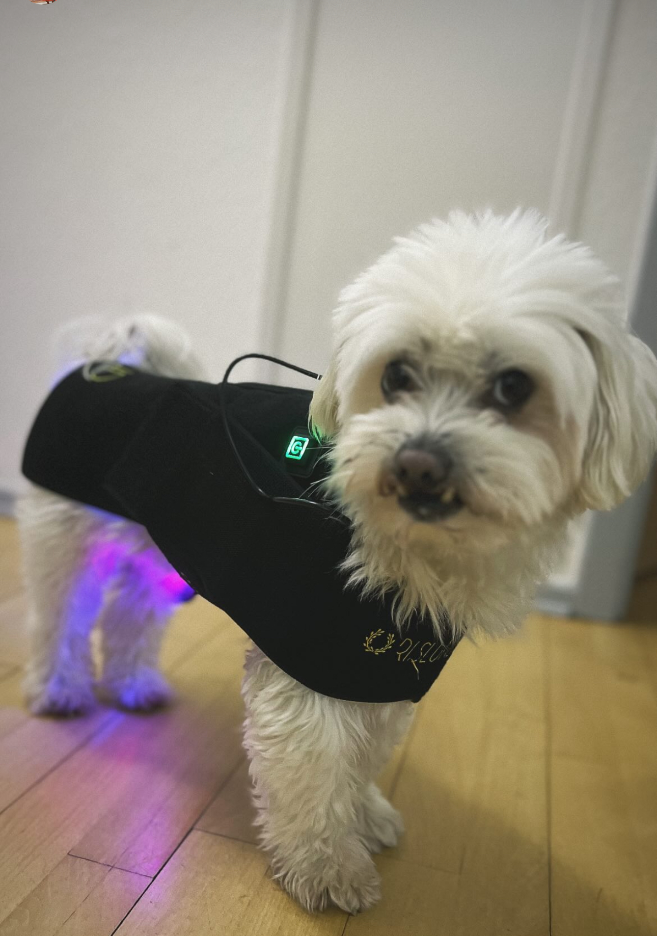 Riislund Light Therapy RED Pro - Image 7