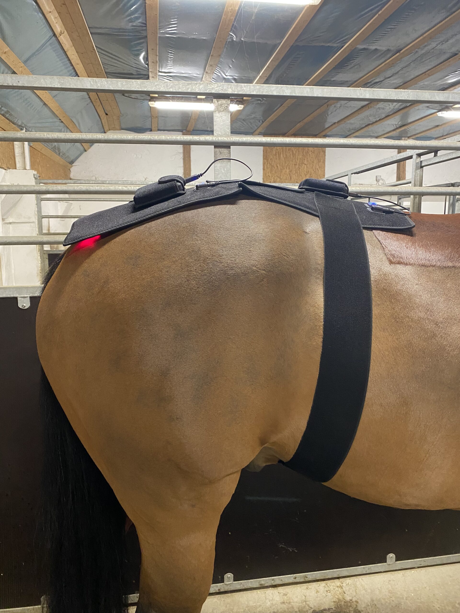 Riislund Light Therapy RED Pro - Image 4