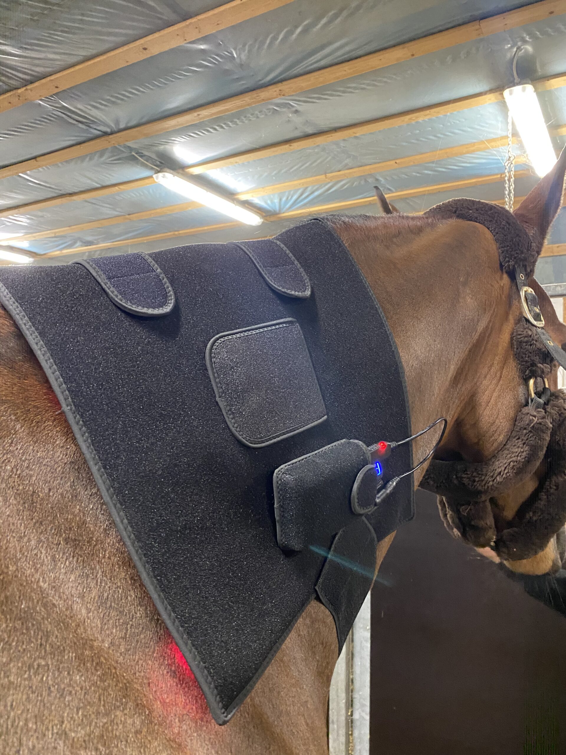 Riislund Light Therapy RED Pro - Image 2