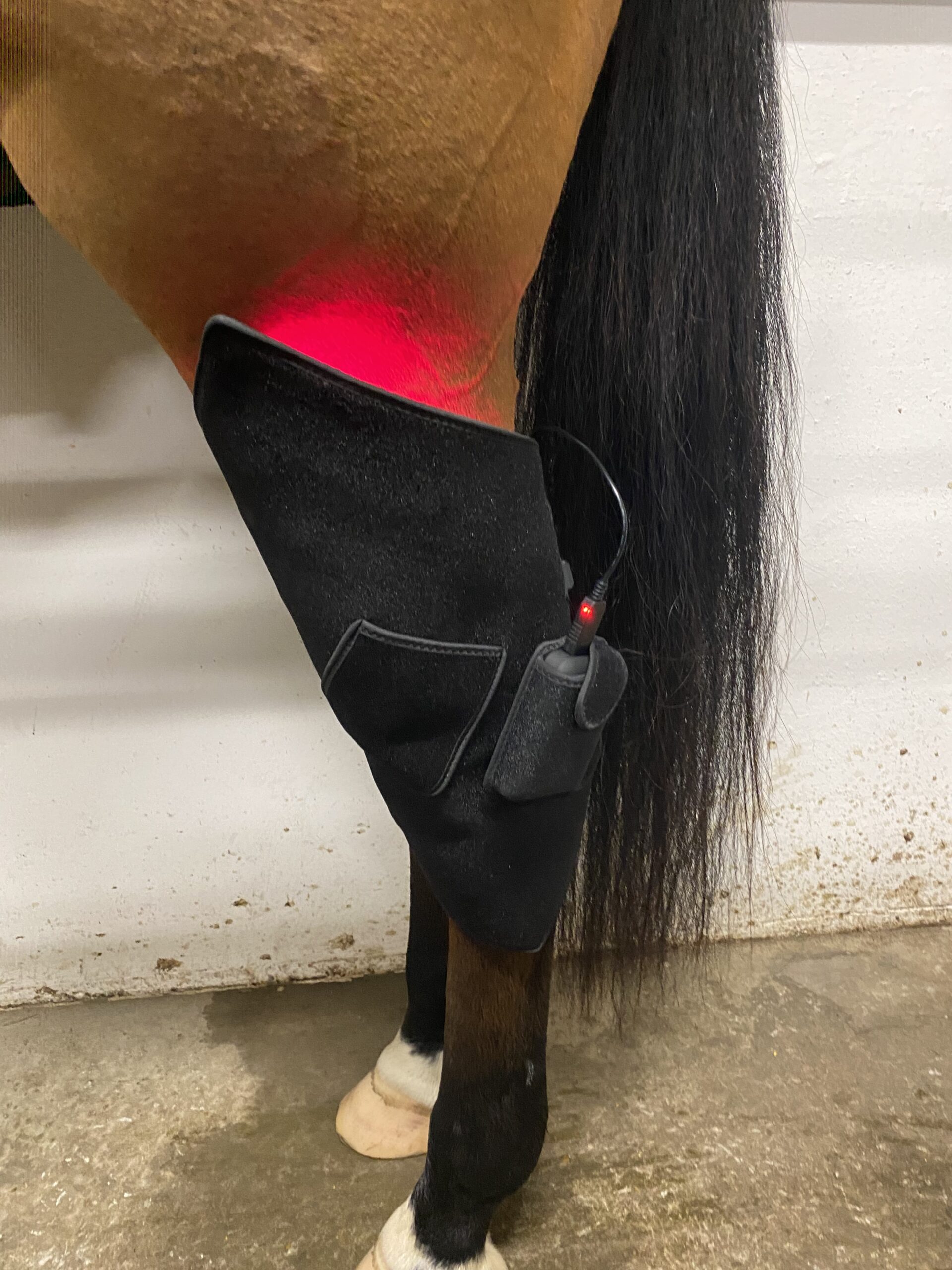 Riislund Light Therapy RED Pro - Image 9