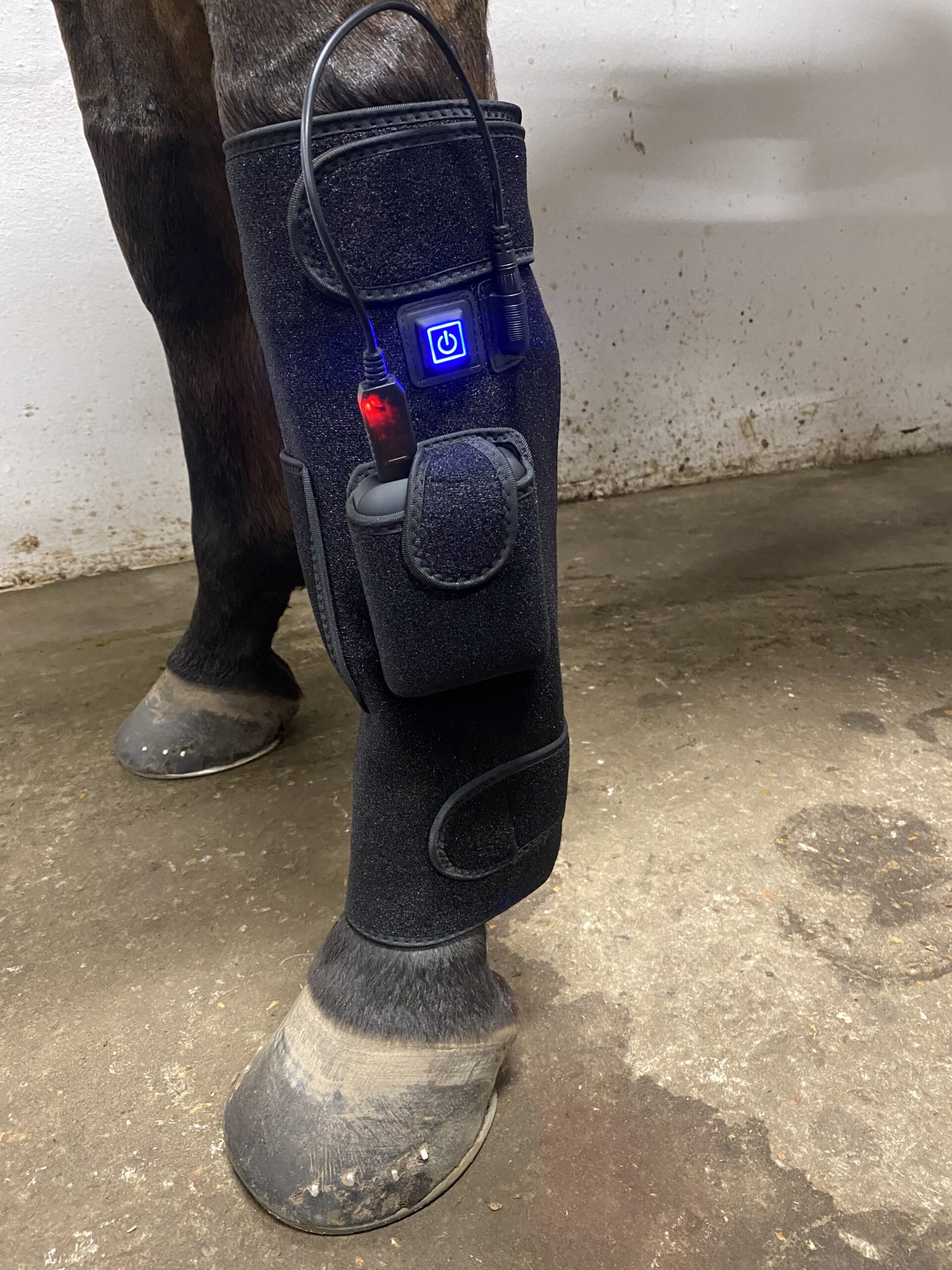 Riislund Light Therapy RED Pro - Image 10