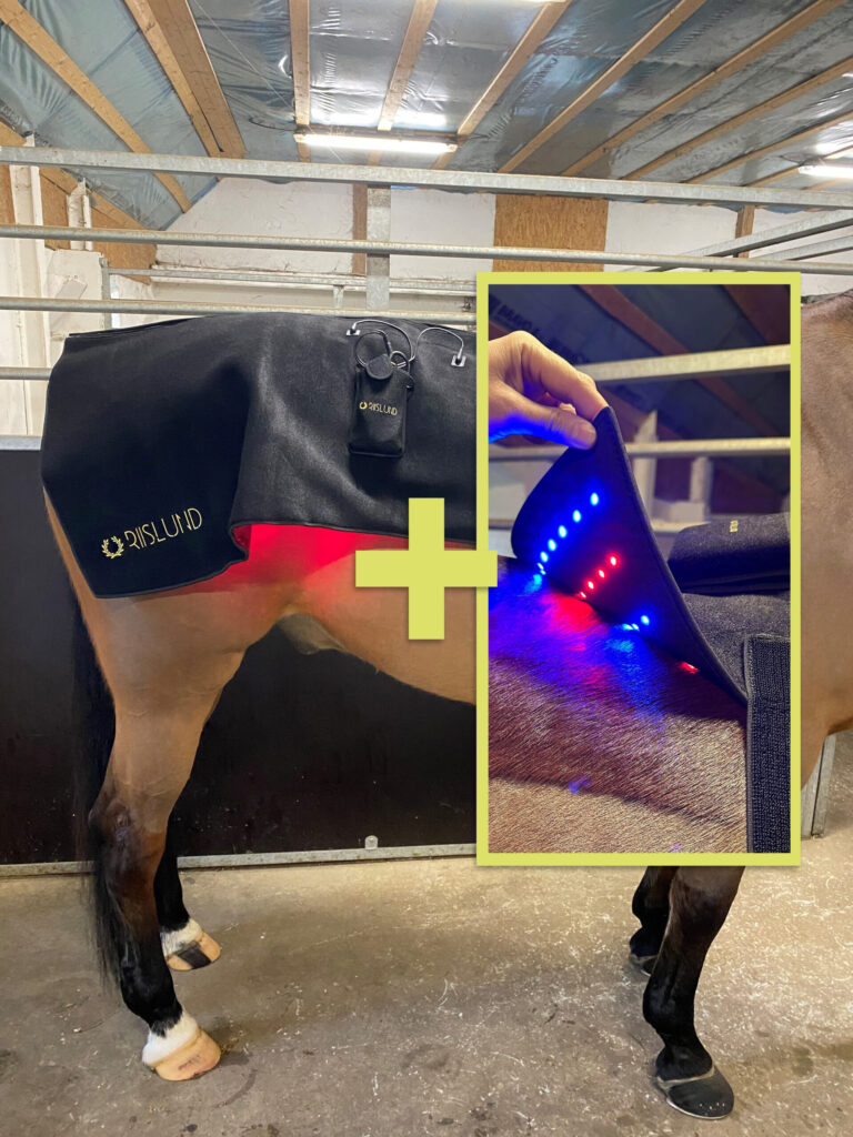 product-bundle-delux-BLUE-pro-scaled