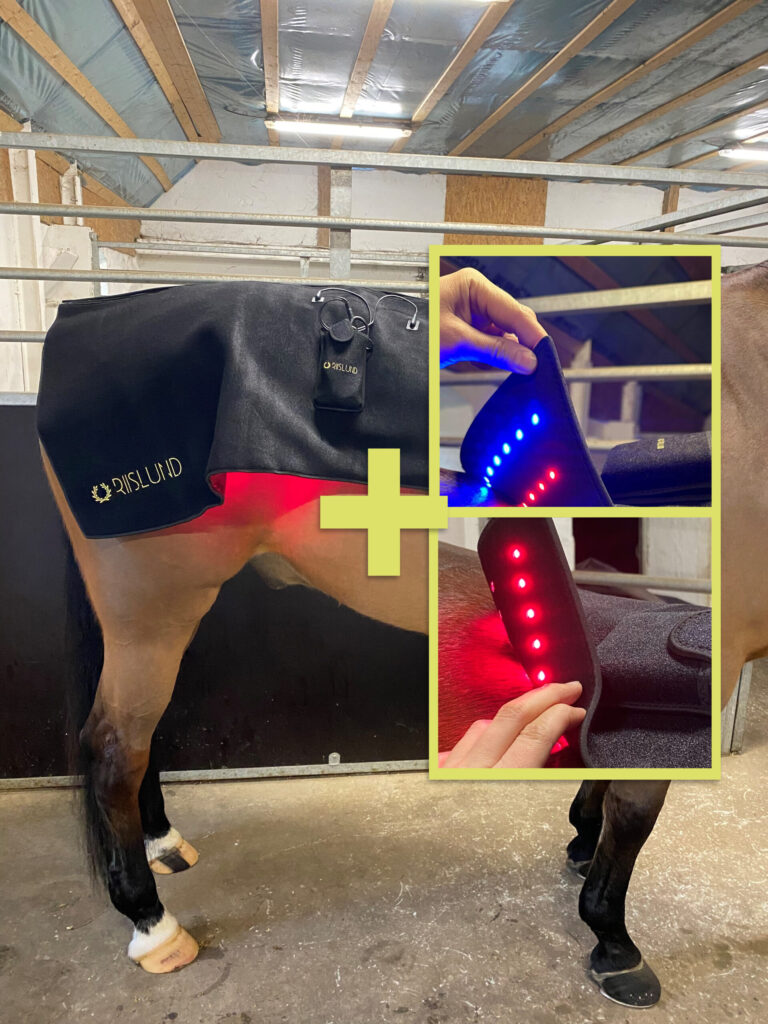 product-bundle-delux-MIX-pro-scaled