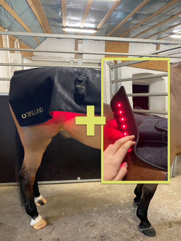 product-bundle-delux-RED-pro-scaled