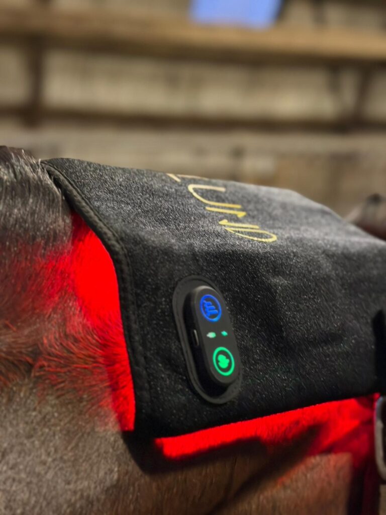 Compact-horse
